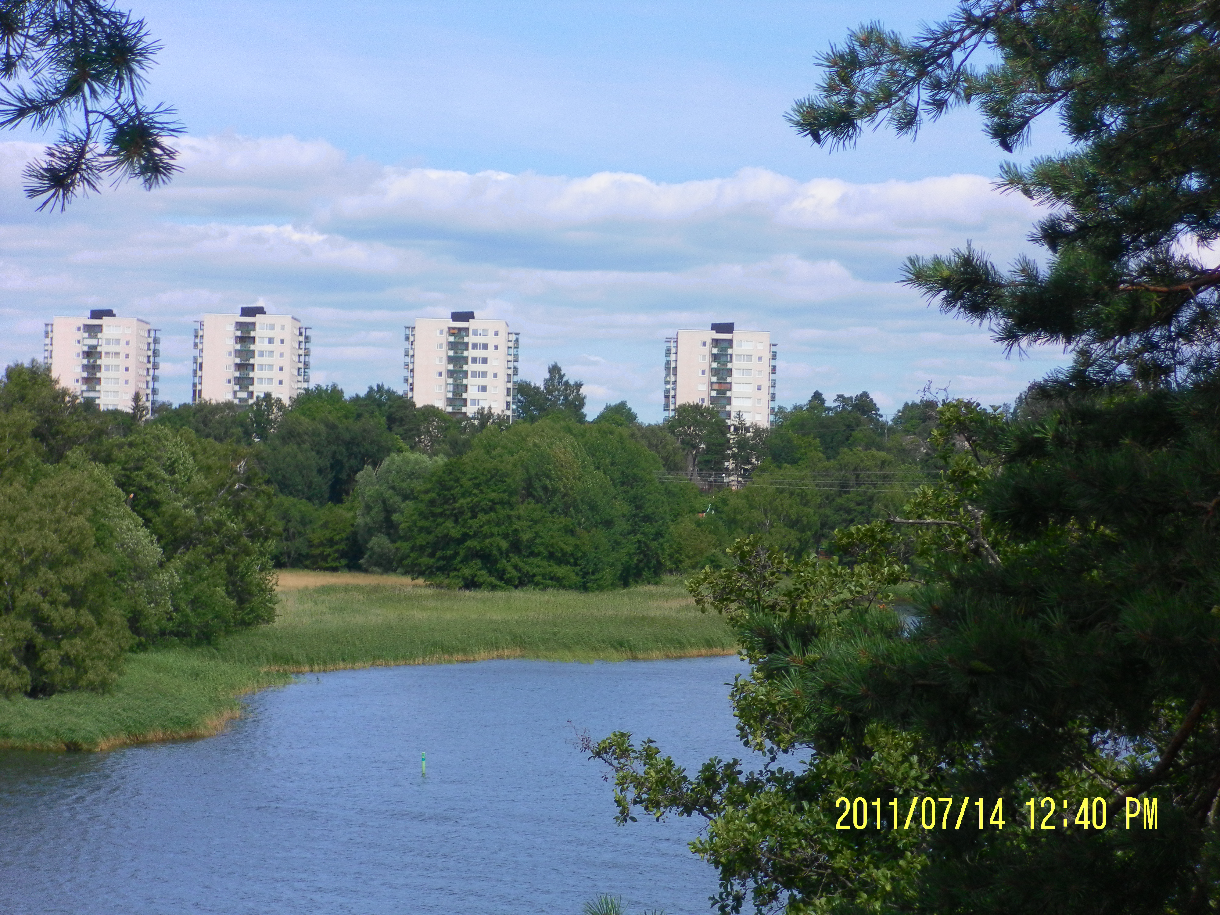 Bergianska view