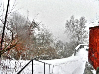 snow 2012 5