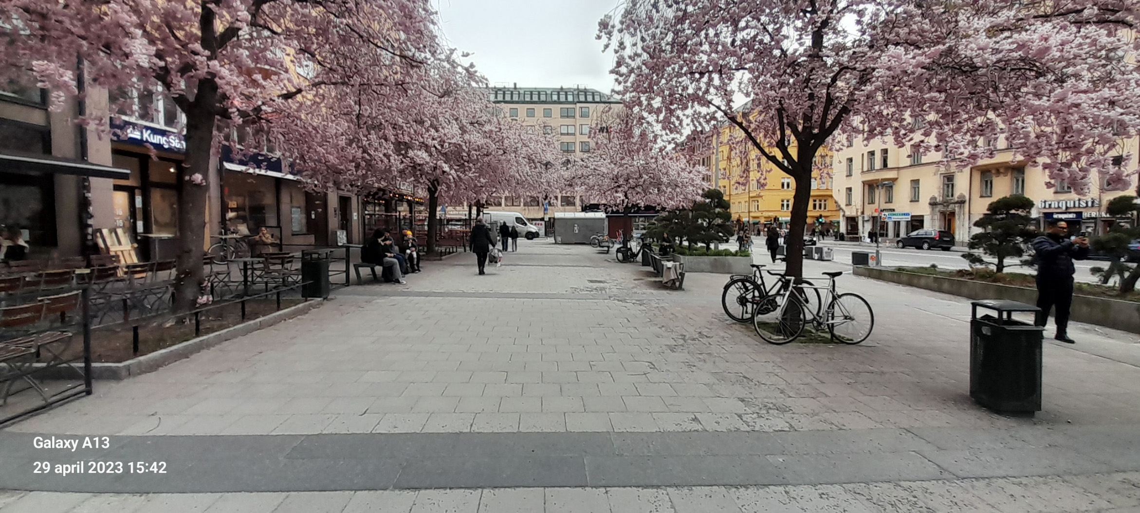 bysis torg