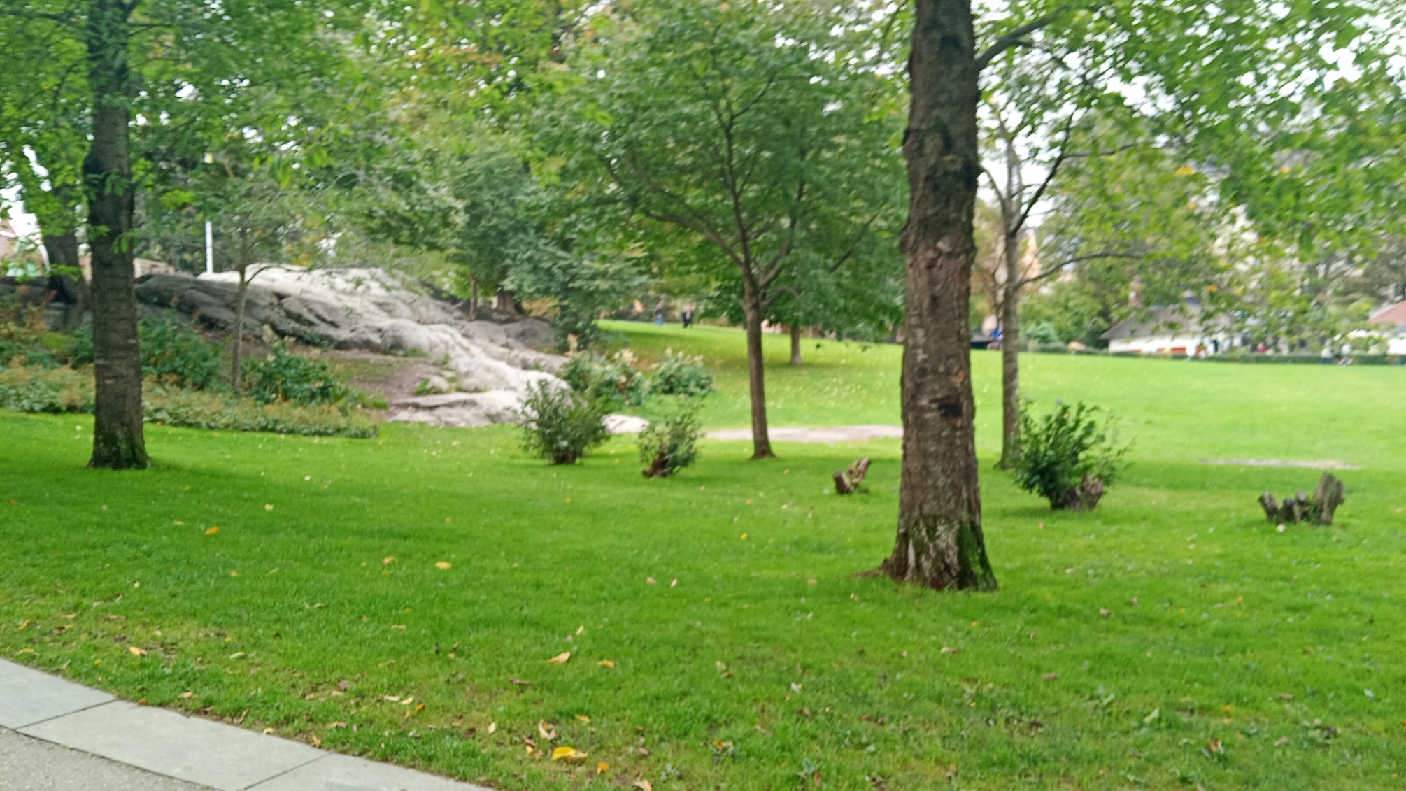 Vasaparken