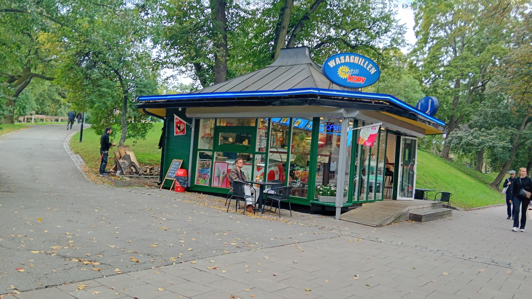 vid vasaparken